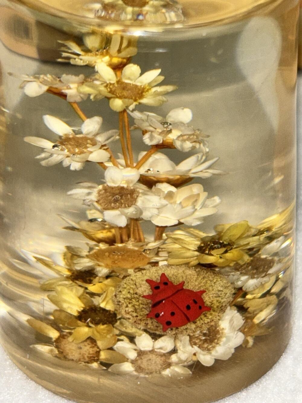 Lucite Paper Weight With Real Flowers Hand Crafted Daisyglas Campbell Calif